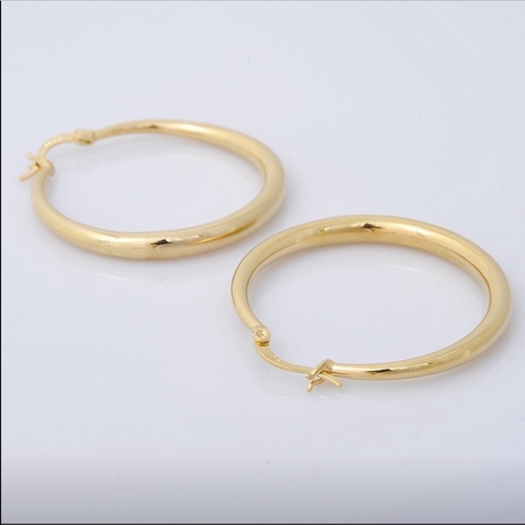 Nwt Gold Plated Hoop Eartings